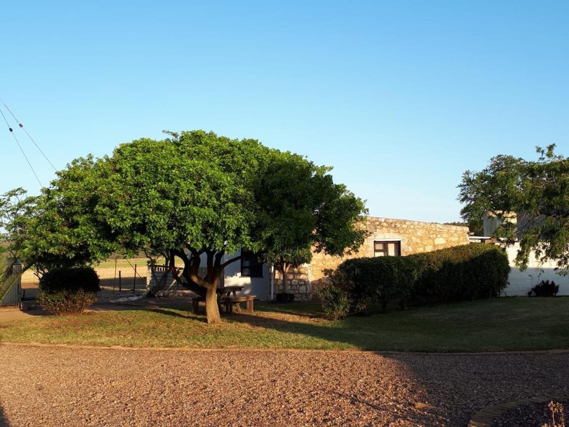 Die Buitekamer Bredasdorp Exteriör bild