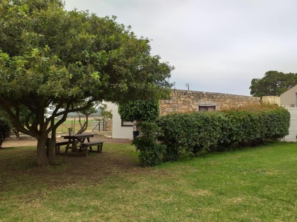 Die Buitekamer Bredasdorp Exteriör bild