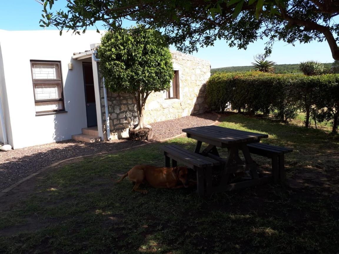 Die Buitekamer Bredasdorp Exteriör bild